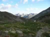Pyrenaen Bild